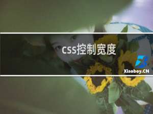 css控制宽度