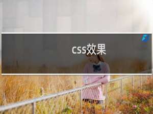 css效果