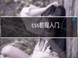 css教程入门