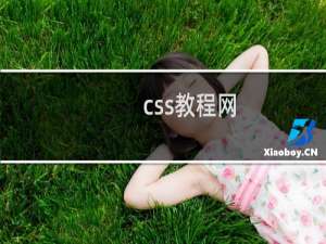 css教程网