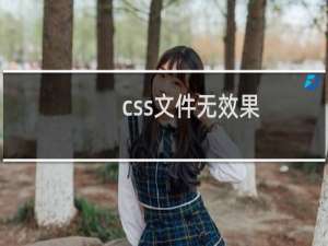 css文件无效果