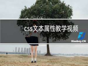 css文本属性教学视频