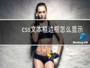 css文本框边框怎么显示