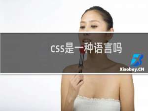 css是一种语言吗