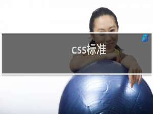 css标准