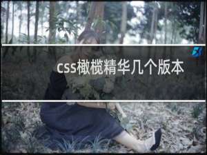 css橄榄精华几个版本