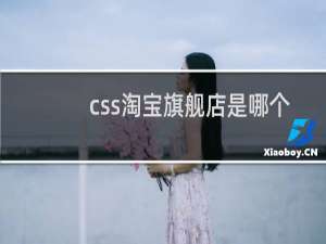 css淘宝旗舰店是哪个