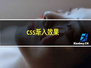 css渐入效果