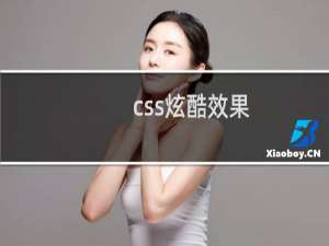 css炫酷效果