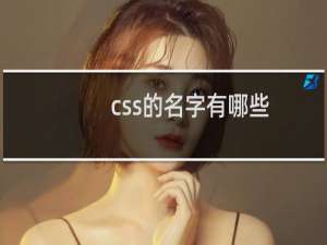 css的名字有哪些