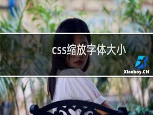 css缩放字体大小