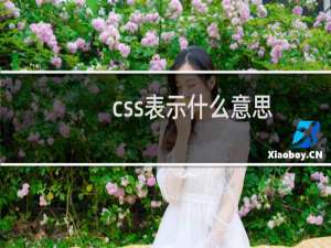 css表示什么意思