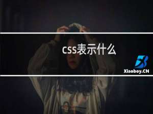 css表示什么