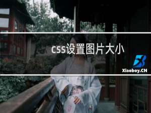 css设置图片大小