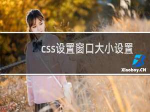 css设置窗口大小设置