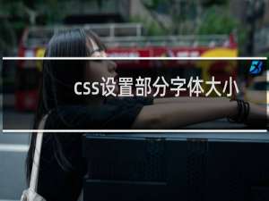 css设置部分字体大小