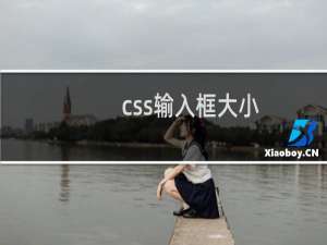 css输入框大小