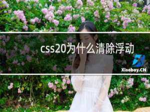 css 为什么清除浮动