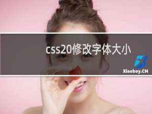 css 修改字体大小