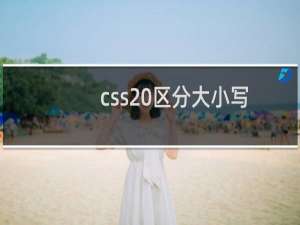 css 区分大小写