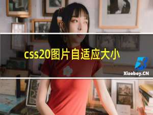 css 图片自适应大小