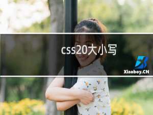 css 大小写