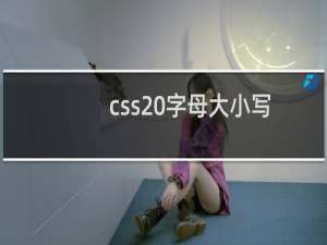 css 字母大小写