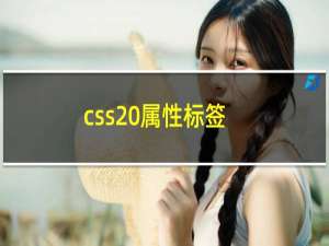 css 属性标签