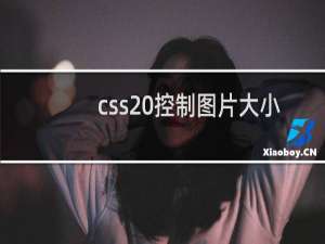 css 控制图片大小