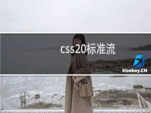 css 标准流