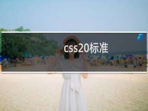 css 标准