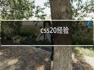 css 经验