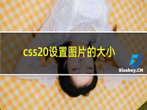 css 设置图片的大小