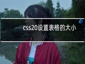 css 设置表格的大小