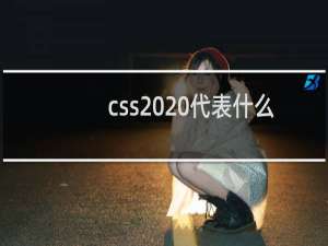 css  代表什么