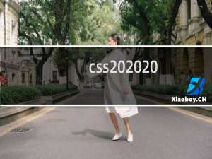 css   -  什么意思