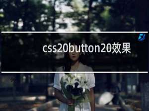 css button 效果