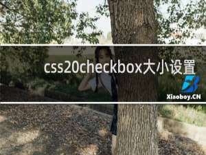 css checkbox大小设置