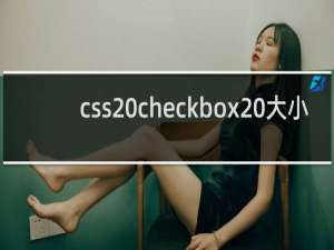 css checkbox 大小