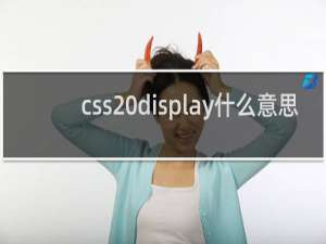 css display什么意思
