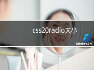 css radio大小