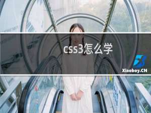 css3怎么学