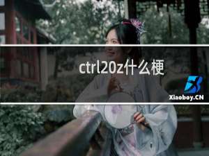 ctrl z什么梗