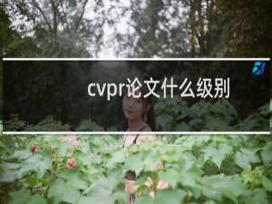 cvpr论文什么级别