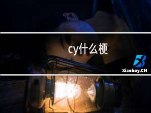cy什么梗