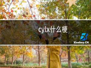 cylx什么梗