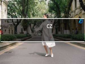 cz-bowei.com邮箱续费以后，域名被其他人注册无法打