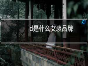 d是什么女装品牌