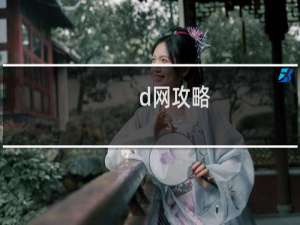 d网攻略