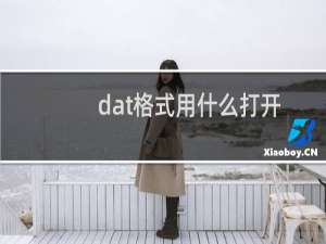 dat格式用什么打开（打开dat文件格式的步骤）